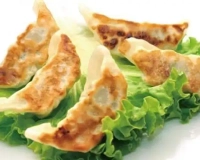 Gyoza Poulet